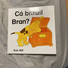 Irish language children's book