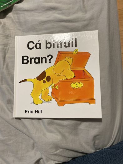 Irish language children's book