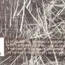 Stand [2000] Beautiful Grey (CD Album) STILL SEALED Image 3