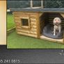 Luxury Dog Kennels Image 3
