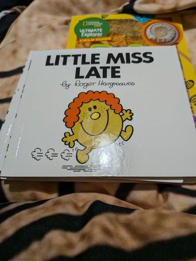 Little miss books