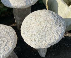 granite mushrooms