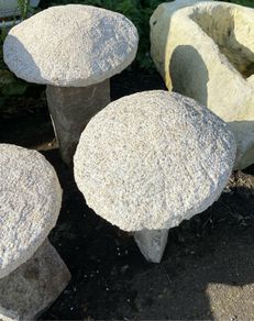 granite mushrooms