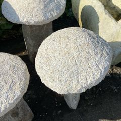 granite mushrooms