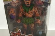 Teenage Mutant Ninja Turtles Jagwar Neca Figure 2022