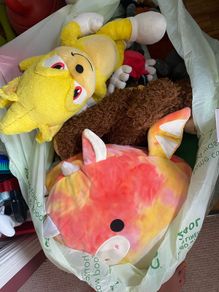 Bag of Teddys