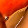 Menbur-  Ladies Shoulder Bag Image 4