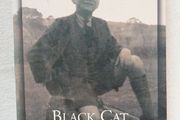 Black Cat in the Window