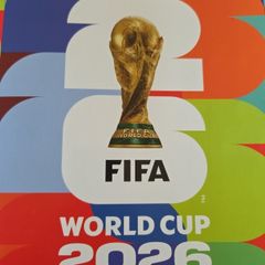 Panini World Cup Stickers