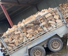 Firewood
