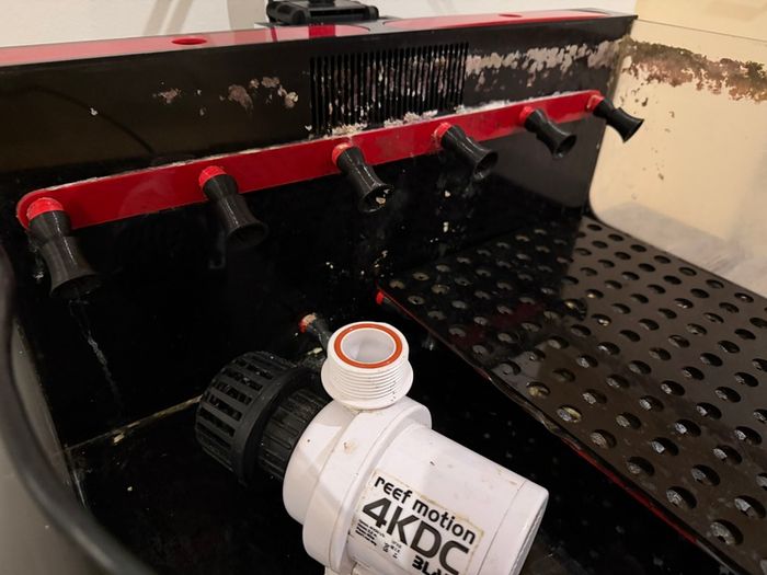 Marine Aquarium Frag Tank, light, pump and Cabinet