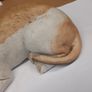 Basset hound dog ornament Image 4