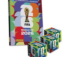 Panini World Cup stickers