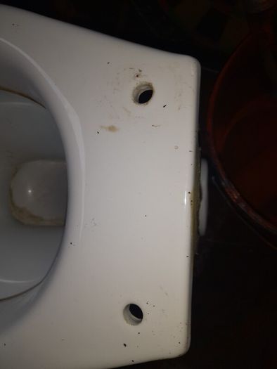 Toilet (has A Crack On It)