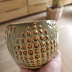 Small plant pot