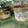 Two Large Terracotta Garden Flower Pots Image 2