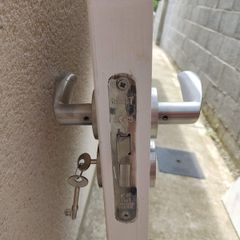 Small door and lock