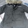 canada goose Image 4