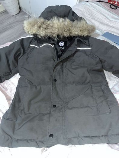 canada goose