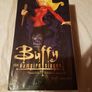 Buffy The Vampire Slayer Electric Tiki Toon Statue Once More With Feeling Like New Buffy BTVS Angel Willow Spike Faith Image 3