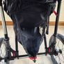 Out n about Nipper Sport V4 Image 10
