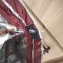 Next suit label size 8 9 years old pls read description Image 10