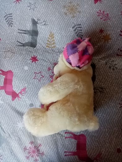 Bedtime bear
