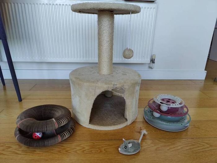 cat toys and cat tree