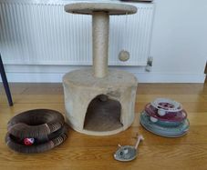 cat toys and cat tree