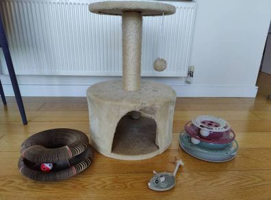 cat toys and cat tree
