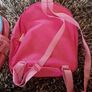 2 princess backpacks. Image 5