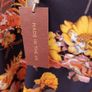 Lovey Size 26 Dress Image 4