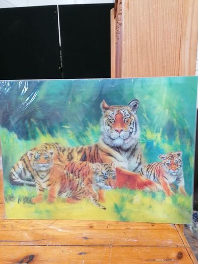 3D Animal Prints Assortment
