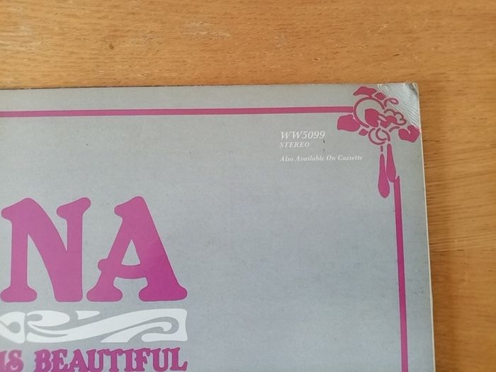 DANA. Everything Is Beautiful. 1980 UK Pressing. Warwick Records. LP. Vinyl. Record. Album.