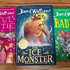 David Walliams Books x 3
