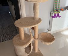 cat toy