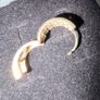 Gold earring Image 4