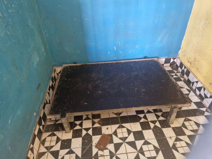 dog bed and crate
