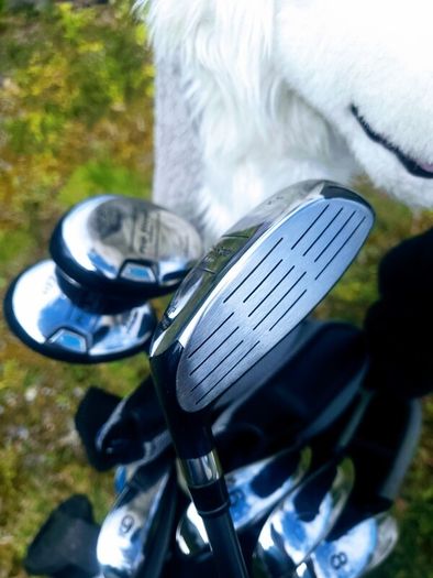 Set of Ladies Golf Clubs