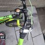 cube race 200 Image 3
