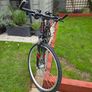 Hybrid Bike - Focus Crater Lake Image 6
