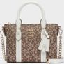 New Dkny Crossbody Bag Image 2