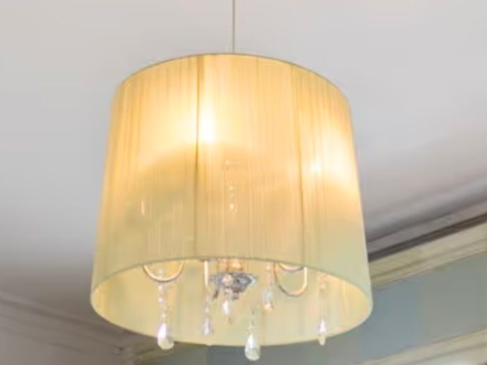 Chandelier and light shade