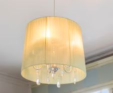 Chandelier and light shade