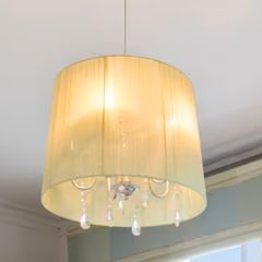 Chandelier and light shade