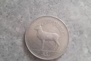 1990 punt coin