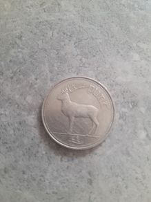 1990 punt coin