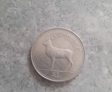 1990 punt coin