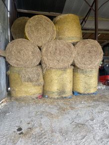 hay