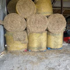 hay